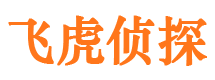 金阳婚外情调查取证